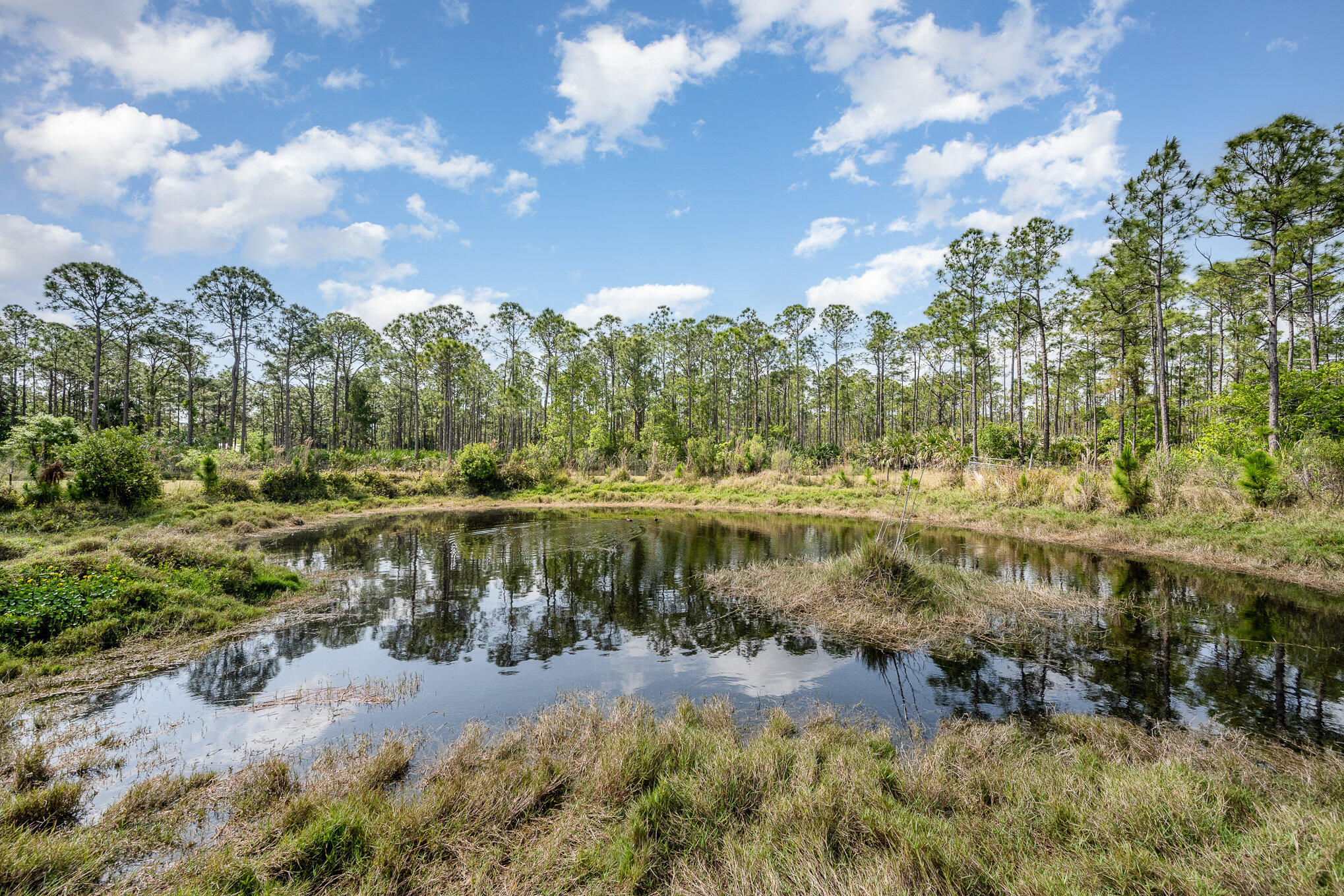 3650 Corey Road Malabar, FL 32950 - Photo 39 of 40 a view of a lake with houses