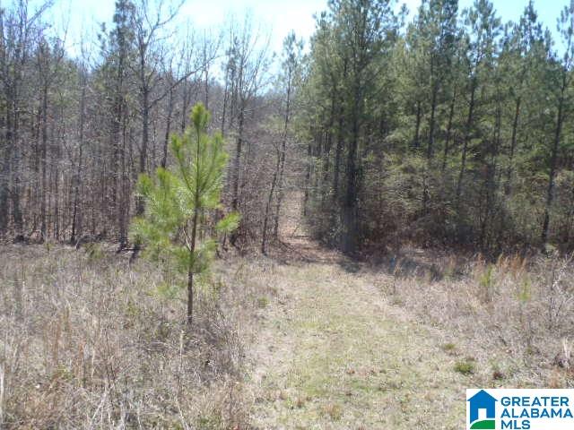 0 Shocco Springs Road, Unit 40 5 AC Talladega, AL 35160 - Photo 14 of 30