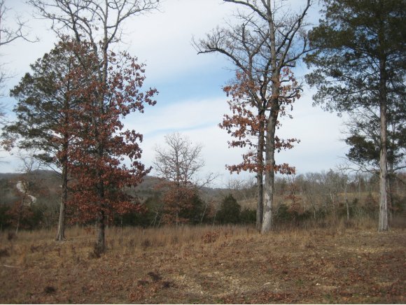 Primary Photo