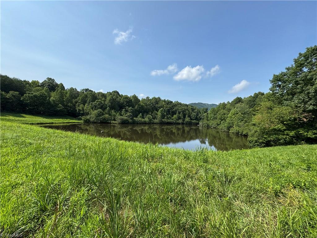 0 Edwards Farm Road King, NC 27021 - Photo 2 of 22