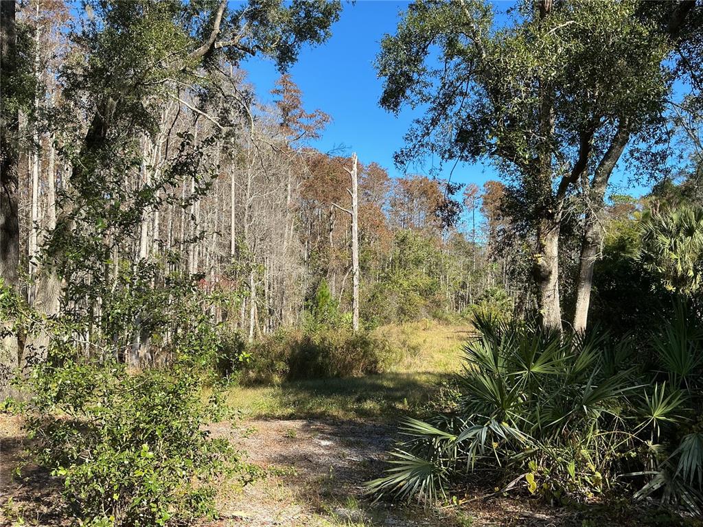 2130 East Kicklighter Road Lake Helen, FL 32744 - Photo 28 of 39 Gallery Image 28