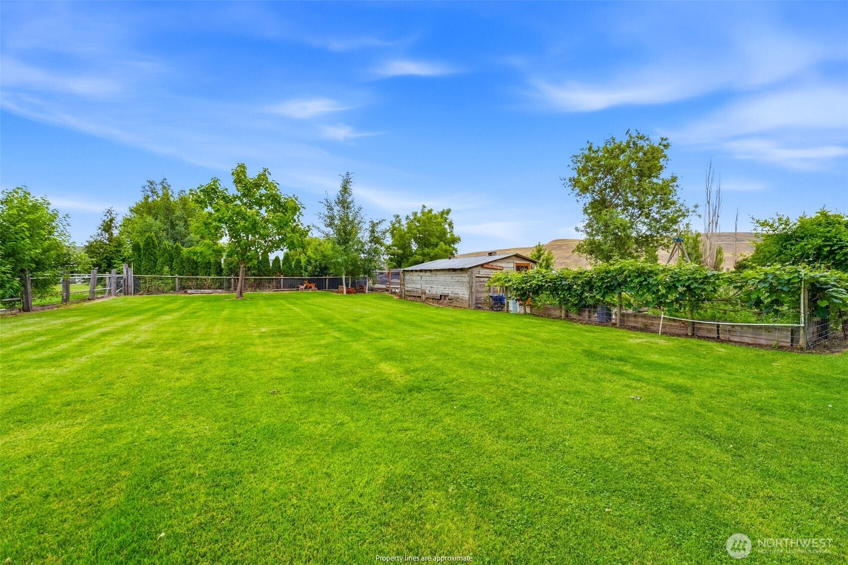 12801 North Pioneer Road Prosser, WA 99350 - Photo 30 of 39