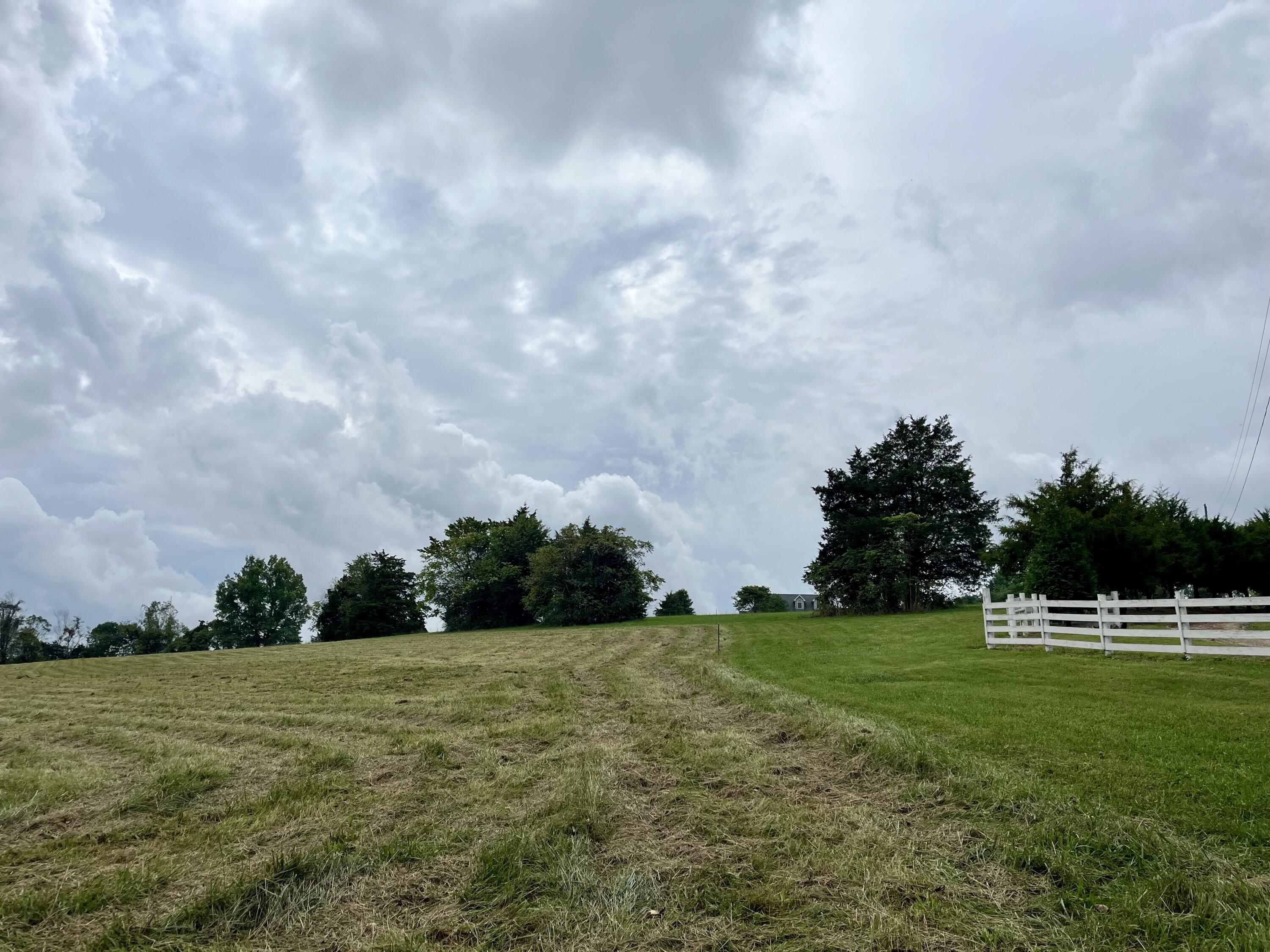 Lot 5 Smith Ridge Road Eubank, KY 42567 - Photo 7 of 24 IMG_4420