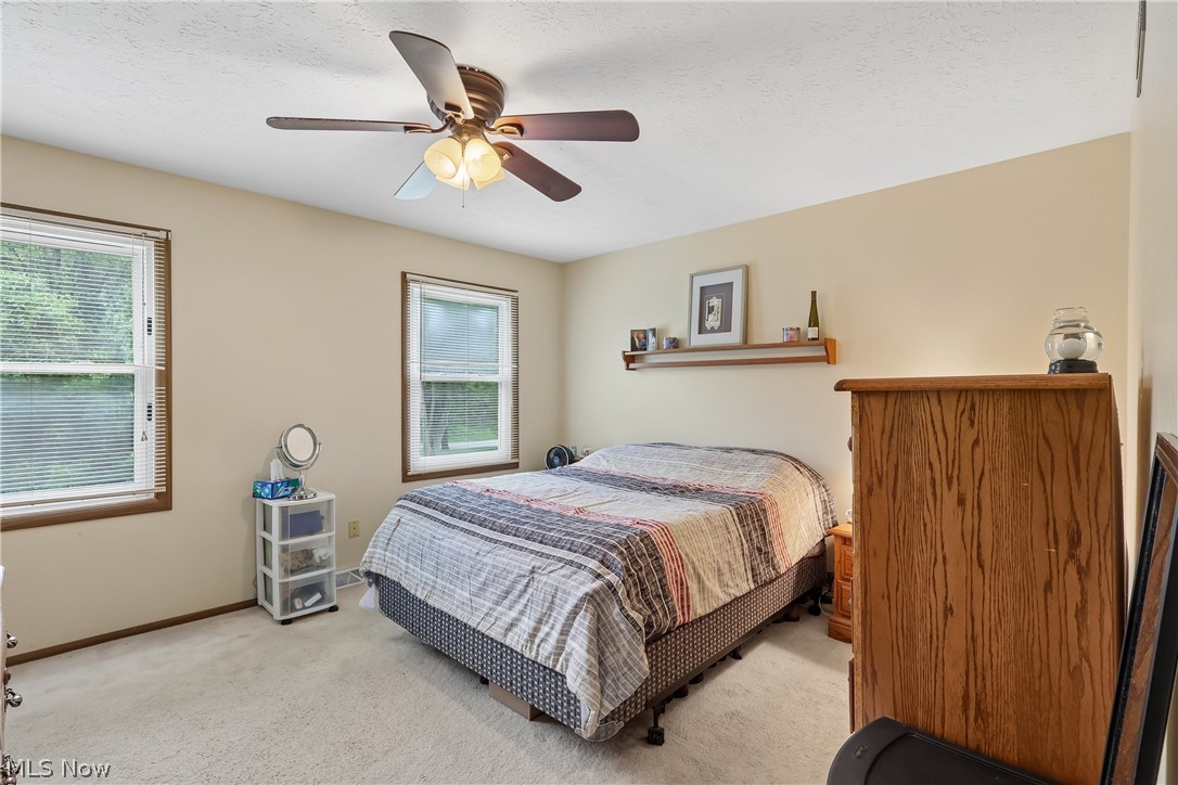 4702 Alger Road Richfield, OH 44286 - Photo 24 of 46 Primary bedroom with ceiling fan / light and carpet flooring