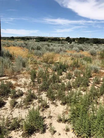 a view of a city with sunset