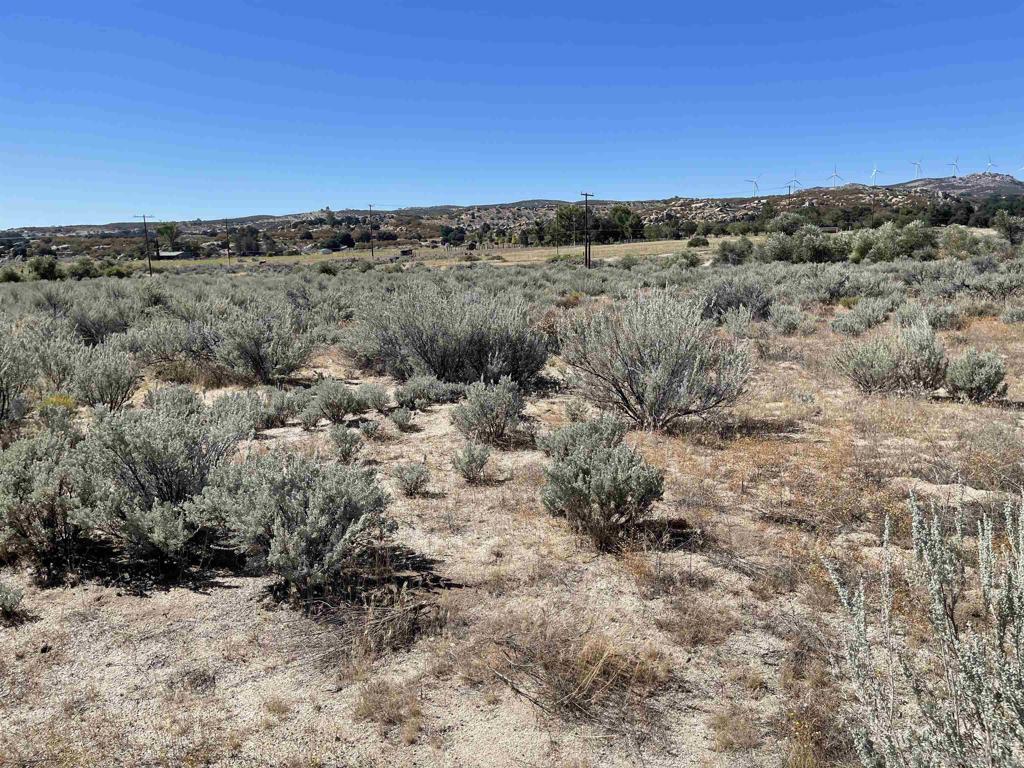 2885 Ribbonwood Road Boulevard, CA 91905 - Photo 3 of 6 a view of a dry field covered with trees