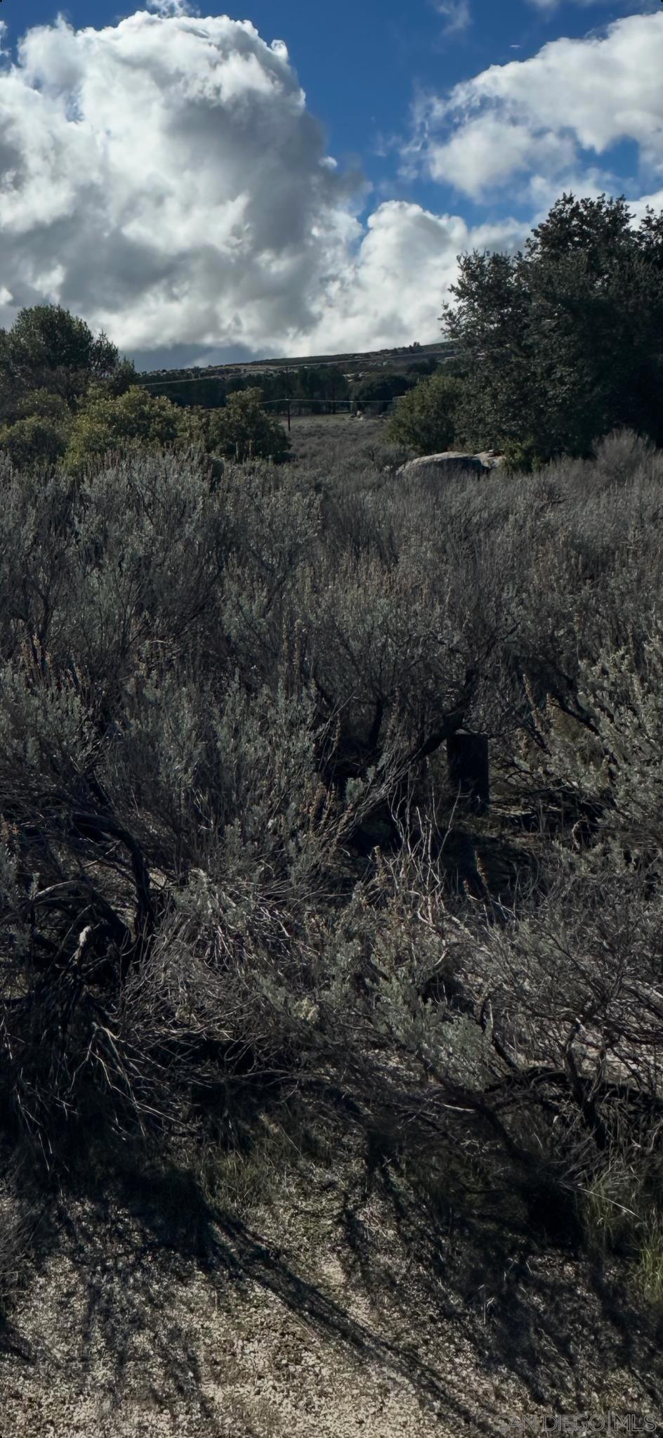2885 Ribbonwood Road Boulevard, CA 91905 - Photo 4 of 6 a view of a yard
