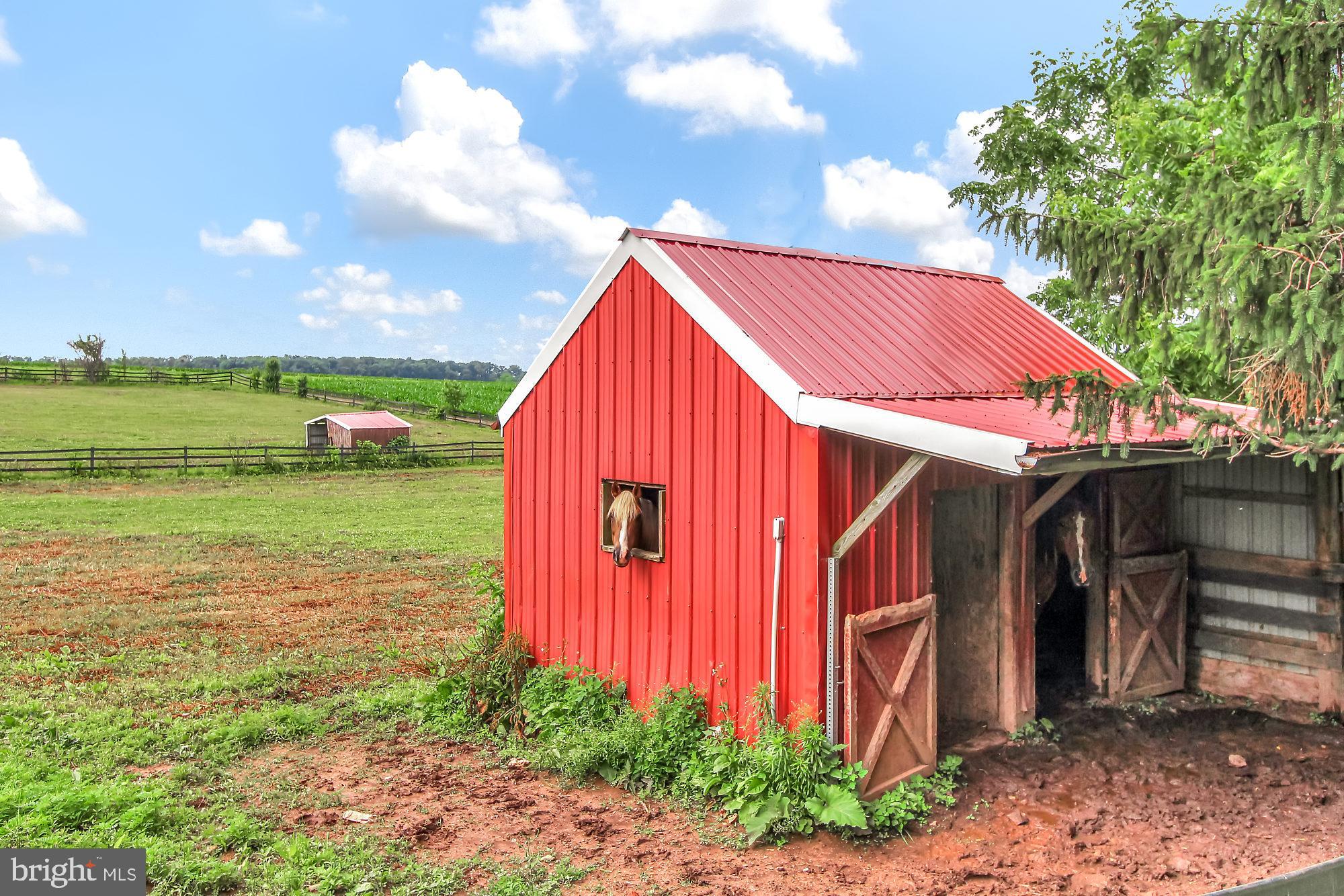14950 Clark Road Stewartstown, PA 17363 - Photo 25 of 32 Run in shed