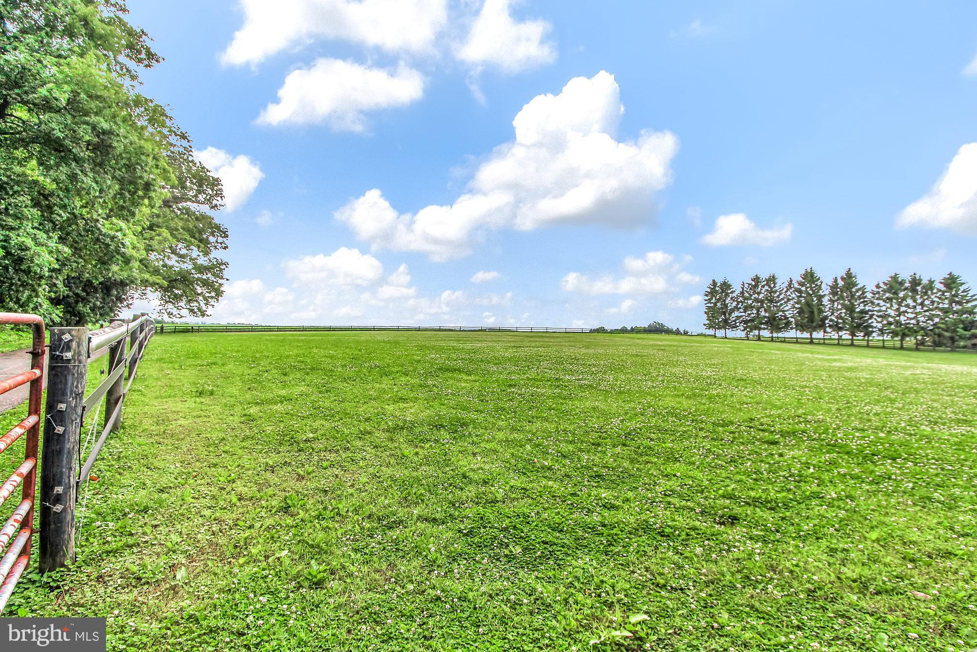 14950 Clark Road Stewartstown, PA 17363 - Photo 29 of 32 Front Pasture