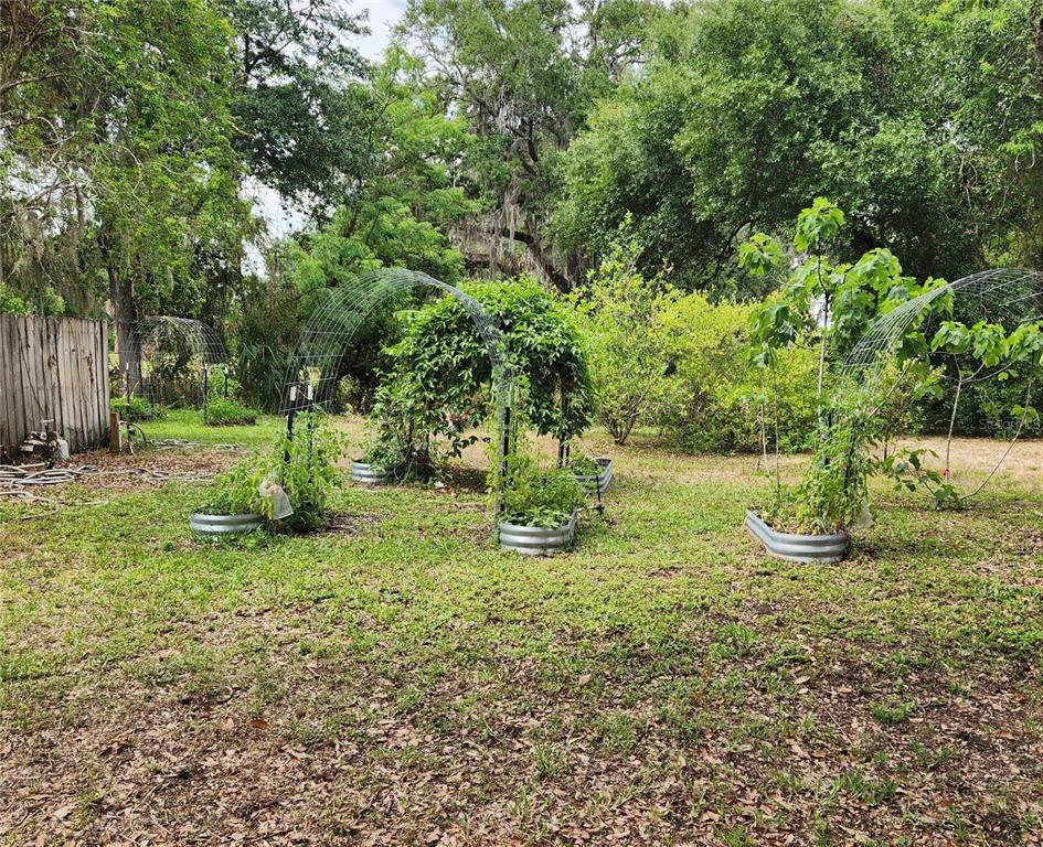 26 Weston Road Leesburg, FL 34748 - Photo 61 of 63 Gallery Image 61