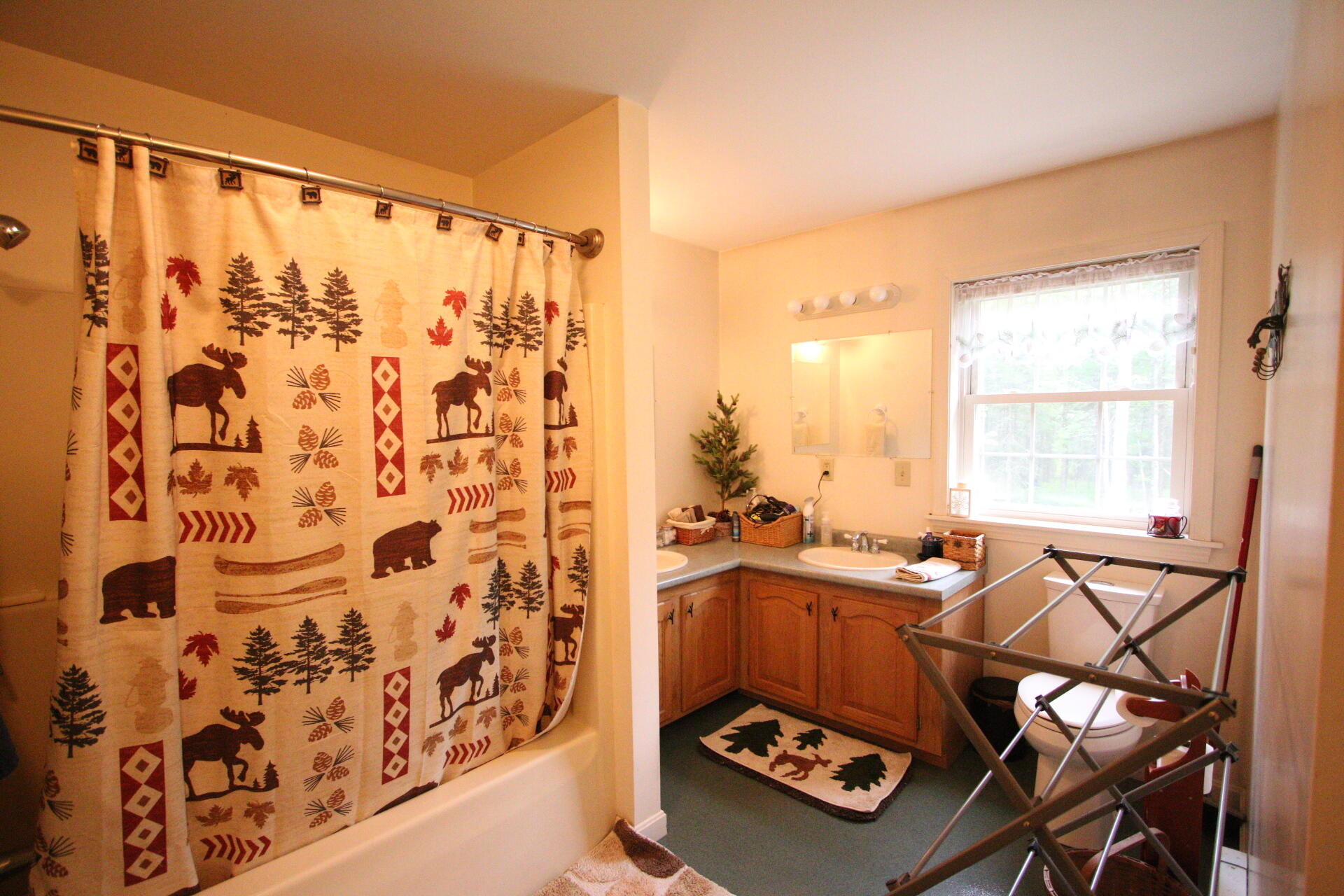 1143 Alton Tannery Road Alton, ME 04468 - Photo 50 of 84 IMG_2915
