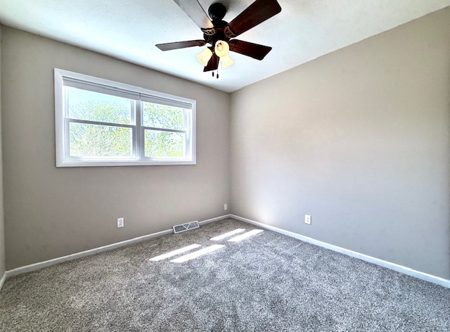 1816 Sadler Drive Champaign, IL 61821 - Photo 141 of 180