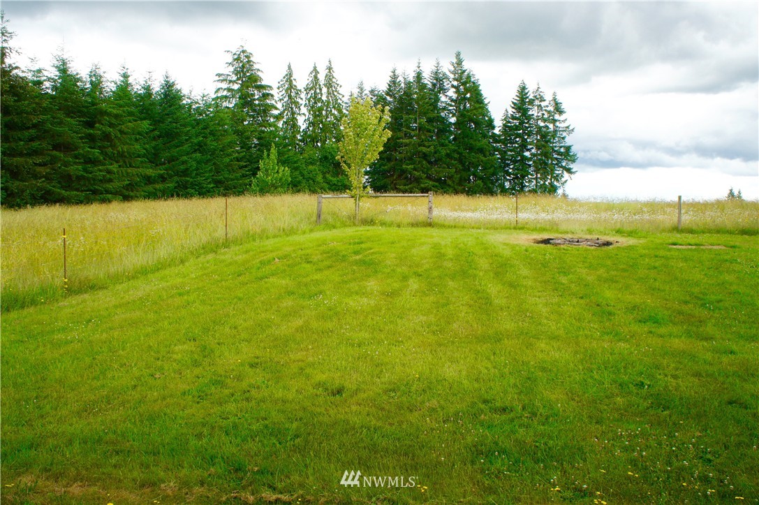 356 Yates Road Chehalis, WA 98532 - Photo 21 of 21 a view of a field with trees in the background