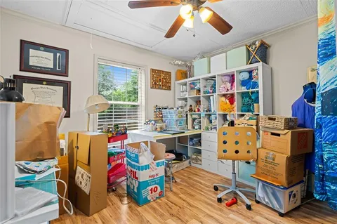a view of a backyard with plants and large trees