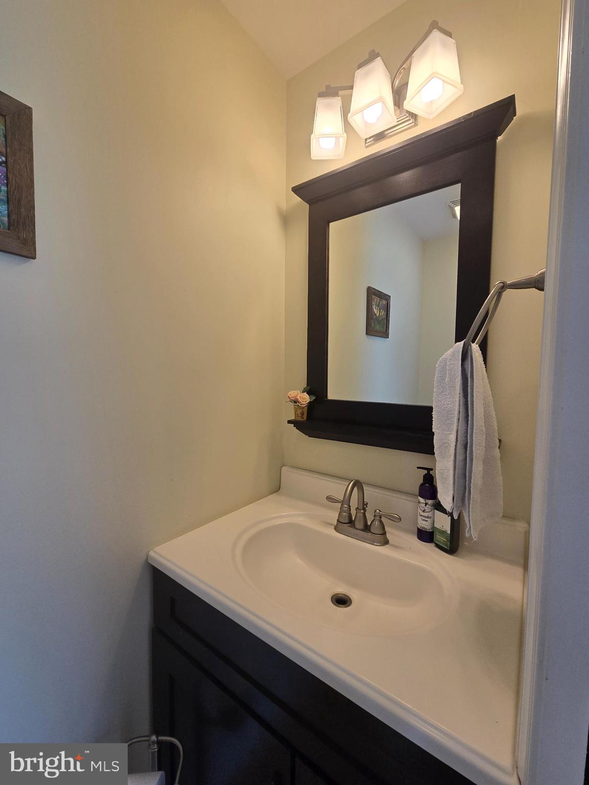 18453 Joseph Road Milton, DE 19968 - Photo 25 of 49 a bathroom with a sink a mirror and a vanity