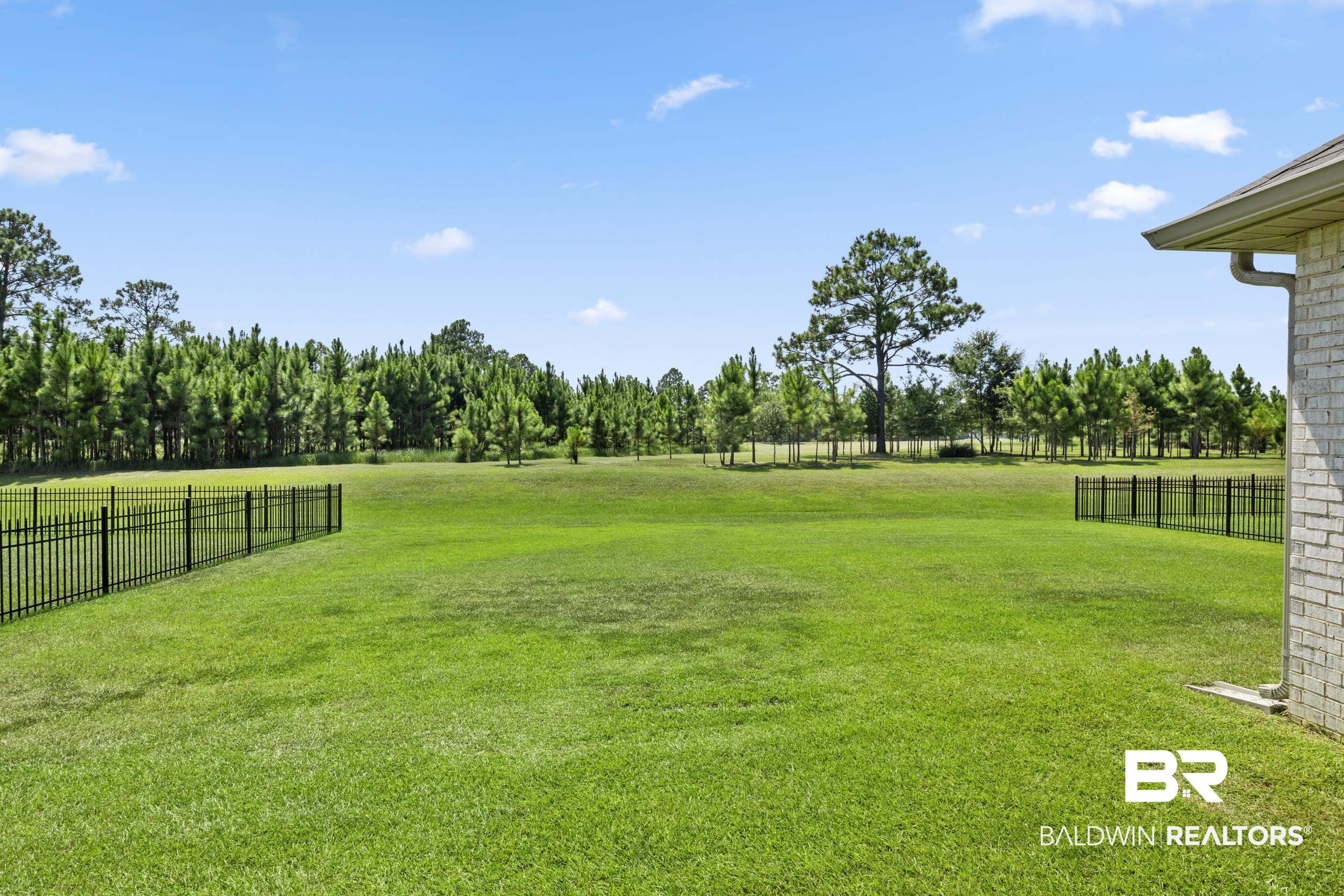 9868 Lakeview Drive Foley, AL 36535 - Photo 12 of 30 View of yard