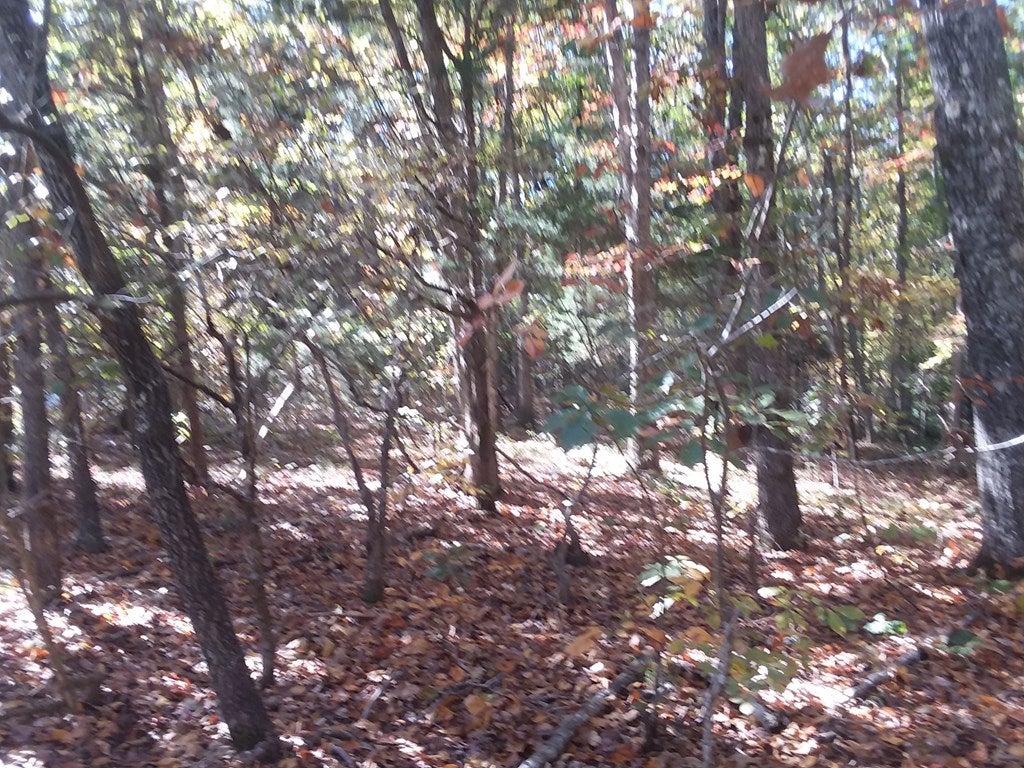 666 Chappell Road, Unit A Keysville, VA 23947 - Photo 5 of 7 Gallery Image 5
