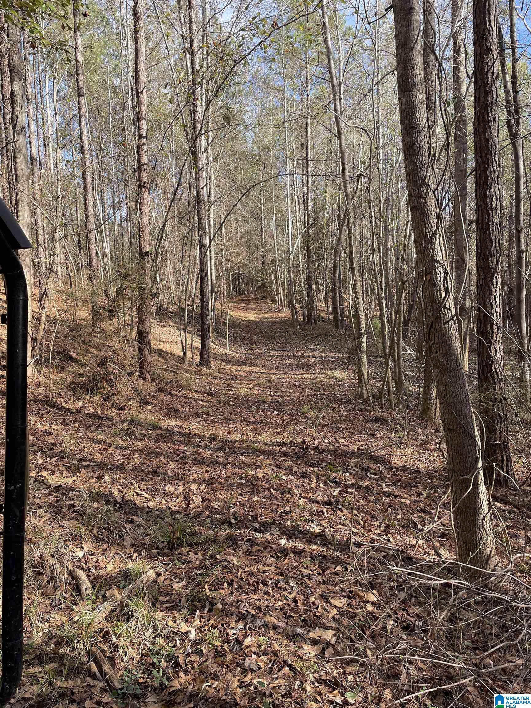 0 County Road 44 Linden, AL 36748 - Photo 34 of 48