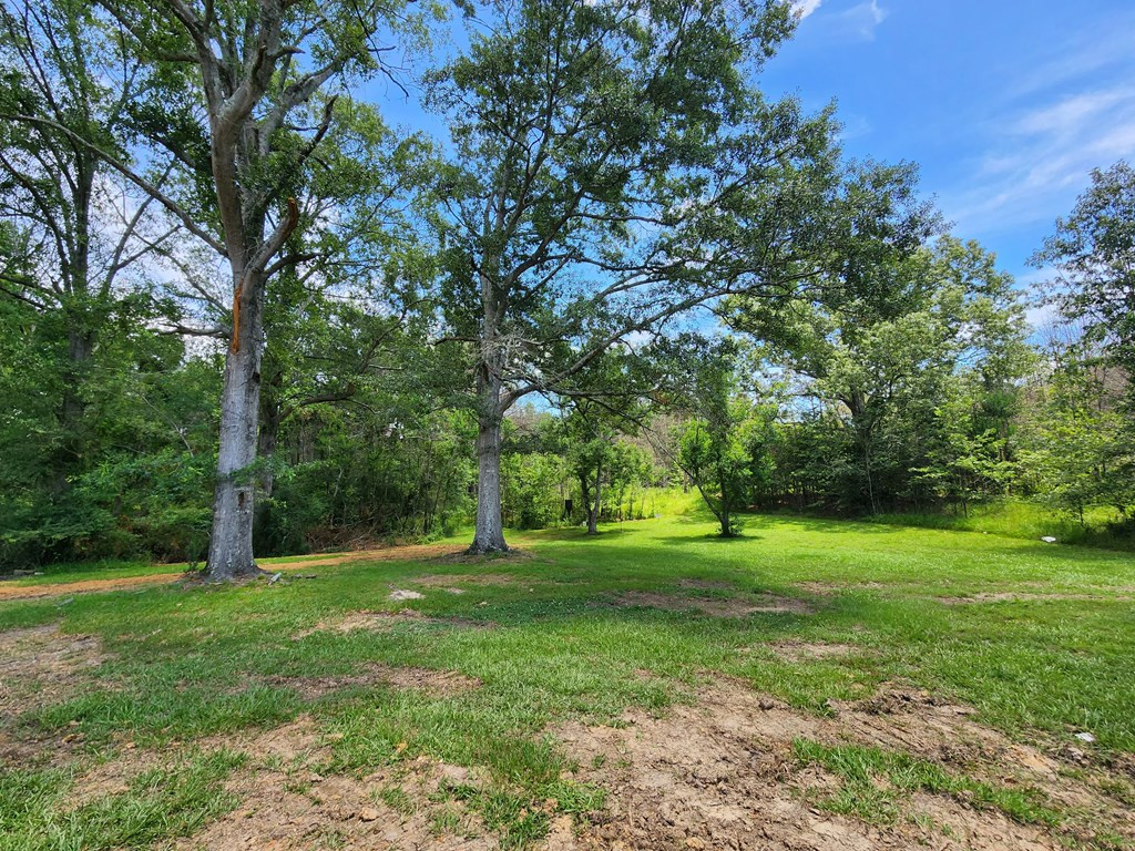 1077 Cleveland Street Hazlehurst, MS 39083 - Photo 29 of 43 Photo 29