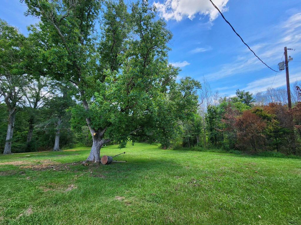 1077 Cleveland Street Hazlehurst, MS 39083 - Photo 33 of 43 Photo 33