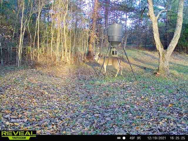 1077 Cleveland Street Hazlehurst, MS 39083 - Photo 40 of 43 Photo 40