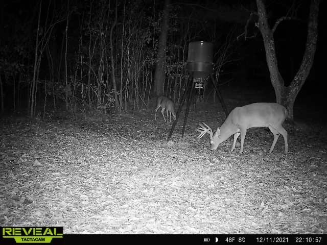 1077 Cleveland Street Hazlehurst, MS 39083 - Photo 41 of 43 Photo 41