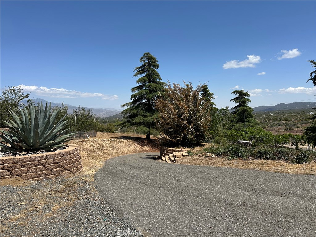 57260 Ramsey Road Anza, CA 92539 - Photo 3 of 46 a view of a road with a plant in the background