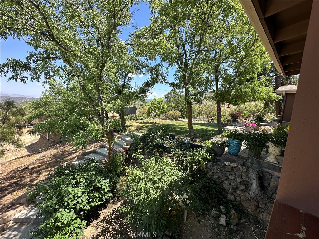 57260 Ramsey Road Anza, CA 92539 - Photo 8 of 46 a view of outdoor space and tree