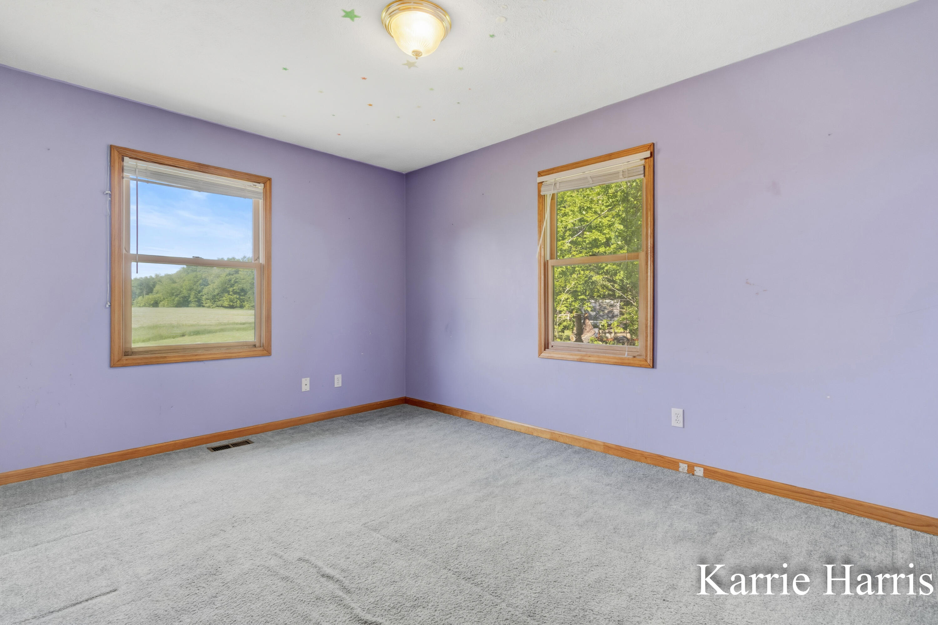 6048 Cedar Lake Road Southeast Sheridan, MI 48884 - Photo 20 of 39 Bedroom 2