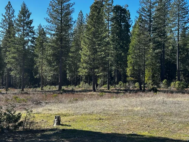 a view of a yard with a fountain