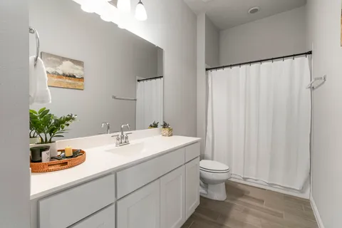 a bathroom with a sink a toilet and a mirror