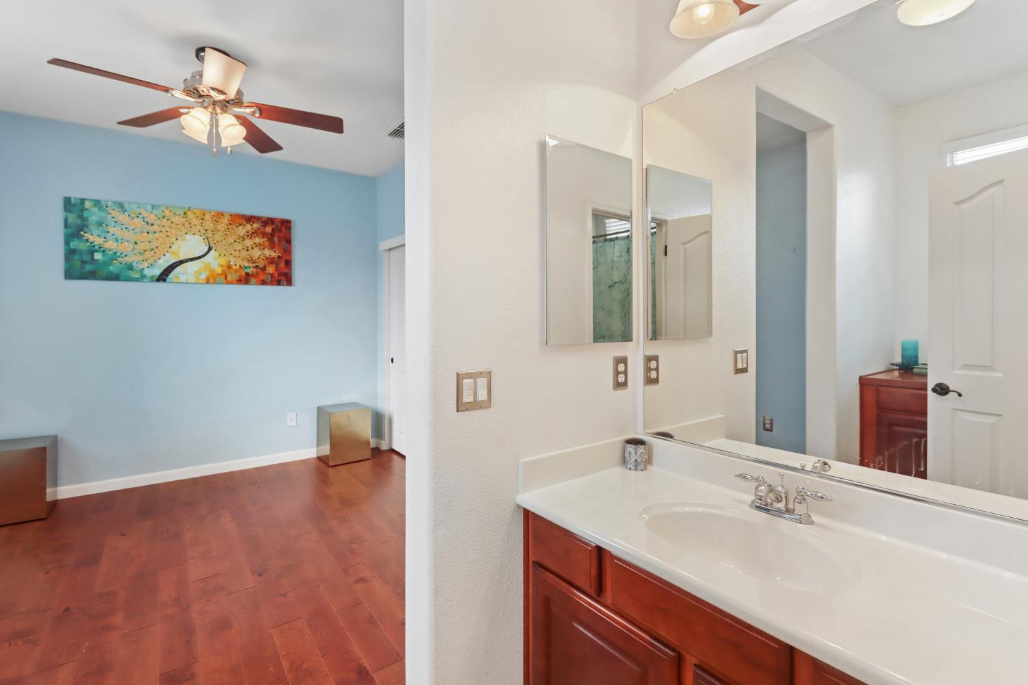 2012 Muscovy Road West Sacramento, CA 95691 - Photo 29 of 42 a bathroom with a sink a mirror and a painting on the wall