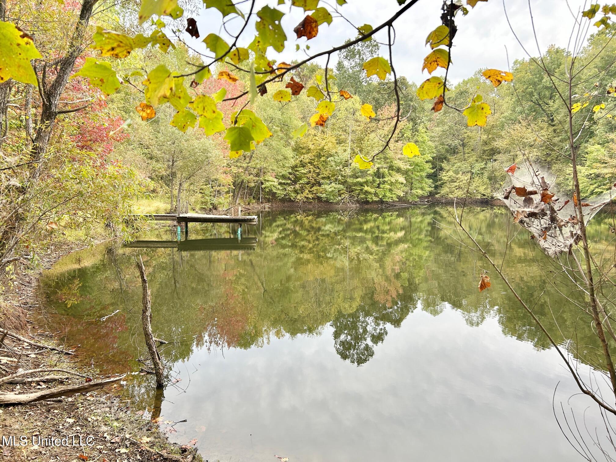 5317 Highway 3 Sarah, MS 38665 - Photo 11 of 14 IMG_7971