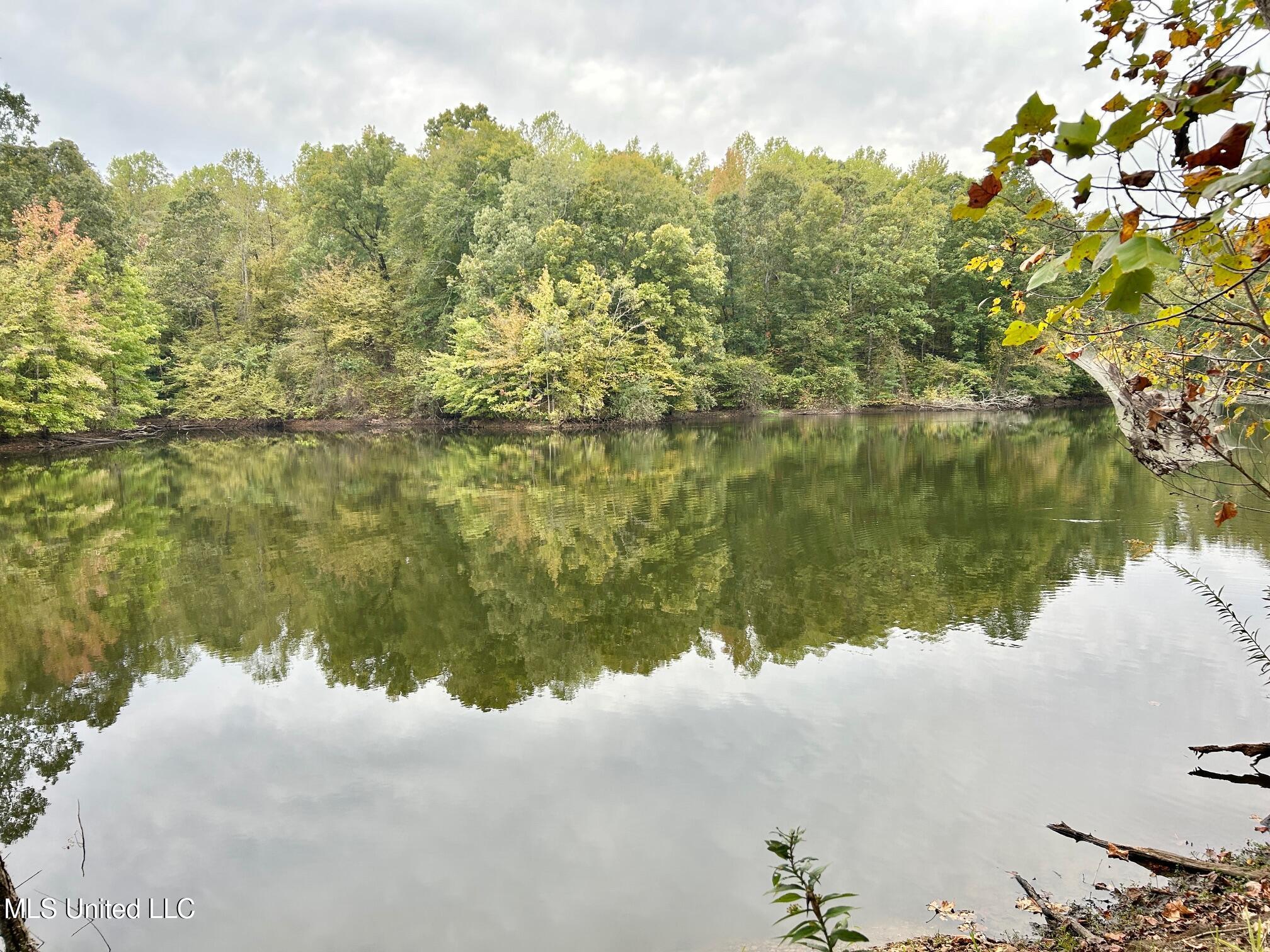 5317 Highway 3 Sarah, MS 38665 - Photo 12 of 14 IMG_7972