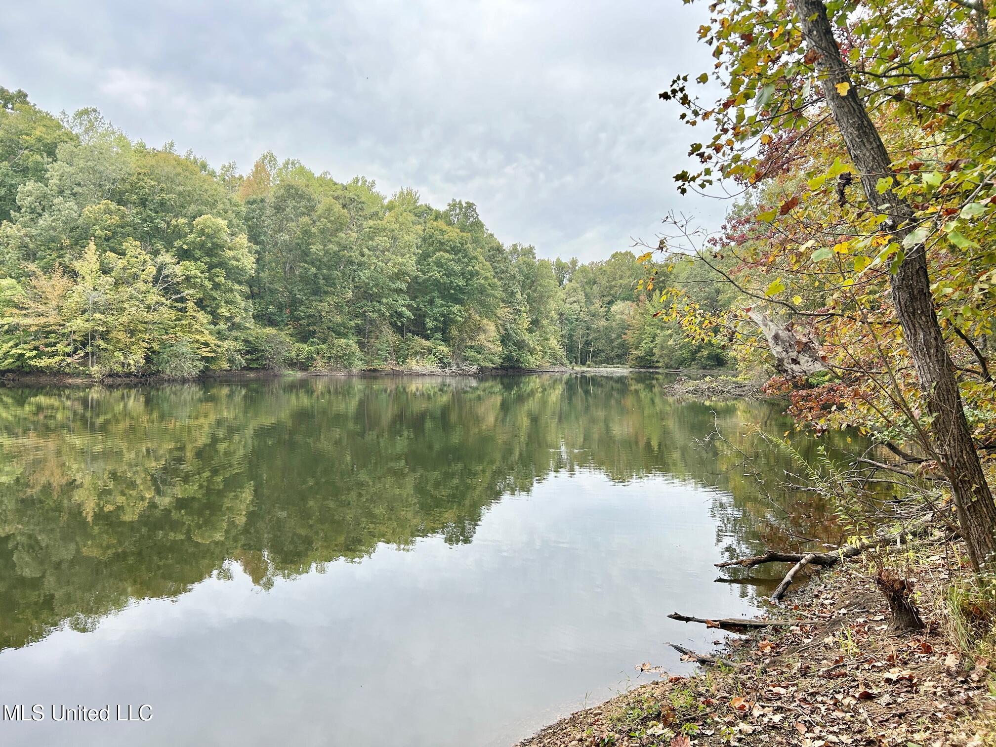 5317 Highway 3 Sarah, MS 38665 - Photo 13 of 14 IMG_7973