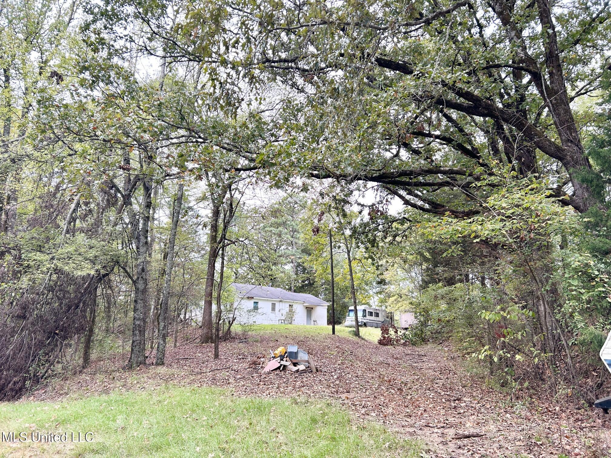 5317 Highway 3 Sarah, MS 38665 - Photo 14 of 14 IMG_7978