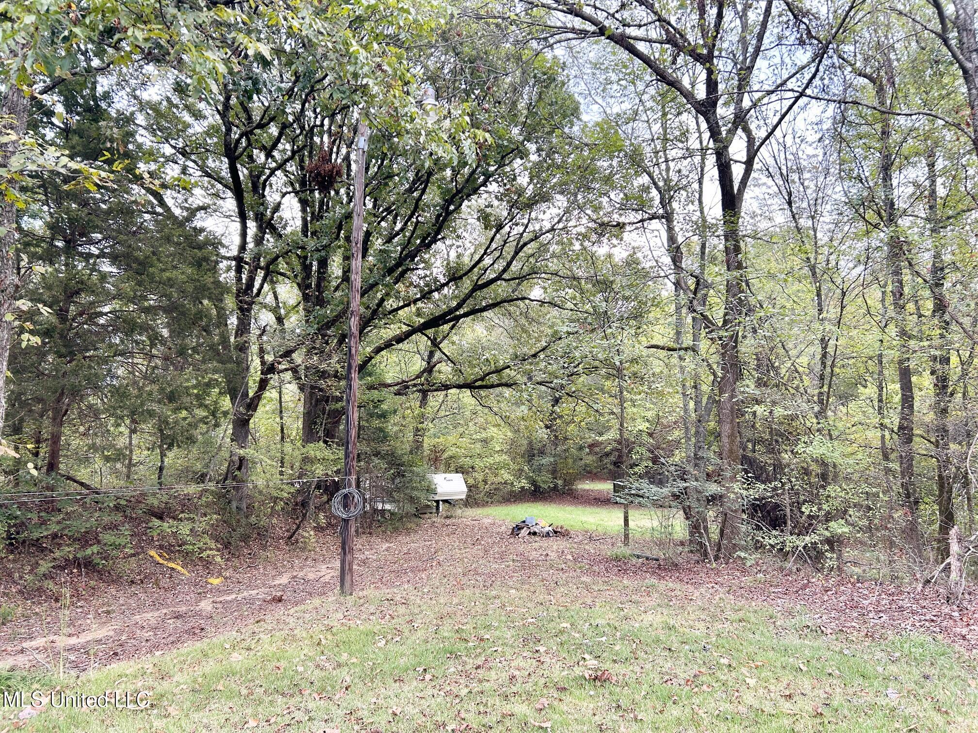 5317 Highway 3 Sarah, MS 38665 - Photo 5 of 14 IMG_7965