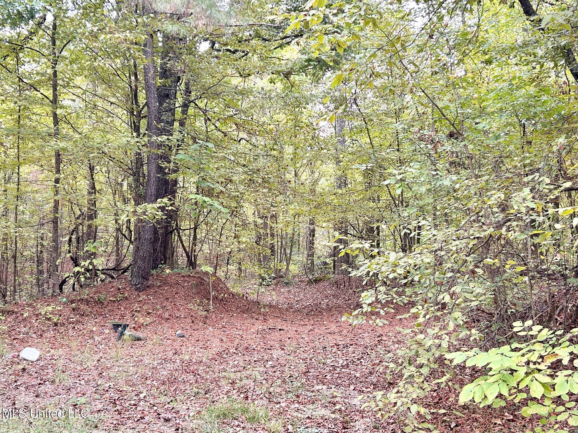 5317 Highway 3 Sarah, MS 38665 - Photo 6 of 14 IMG_7966