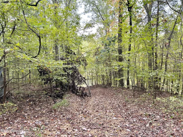 $209,000 | 5317 Highway 3, Sarah, MS 38665