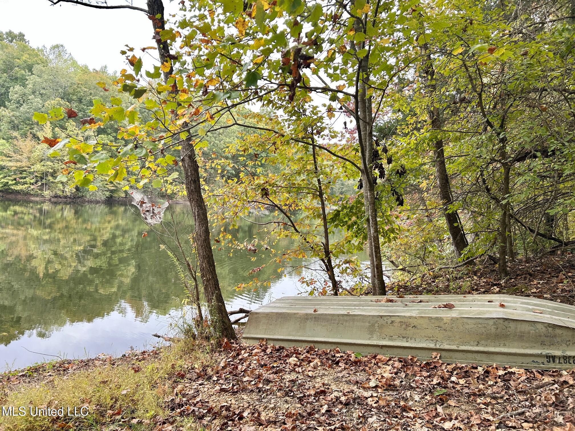 5317 Highway 3 Sarah, MS 38665 - Photo 10 of 14 IMG_7970