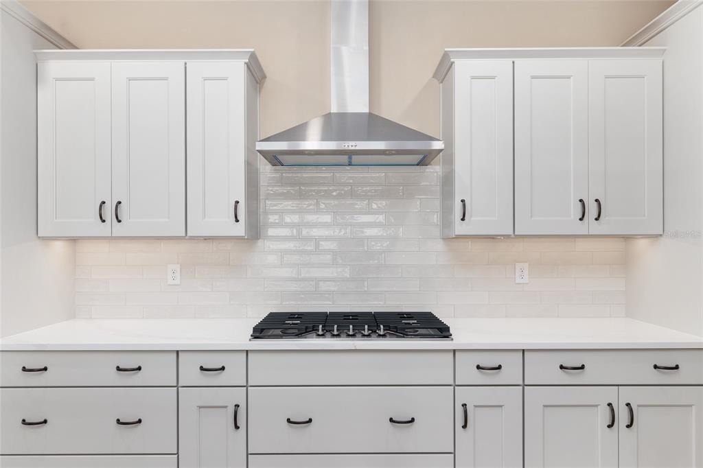 10345 Southwest 82nd Place Road Ocala, FL 34481 - Photo 26 of 58