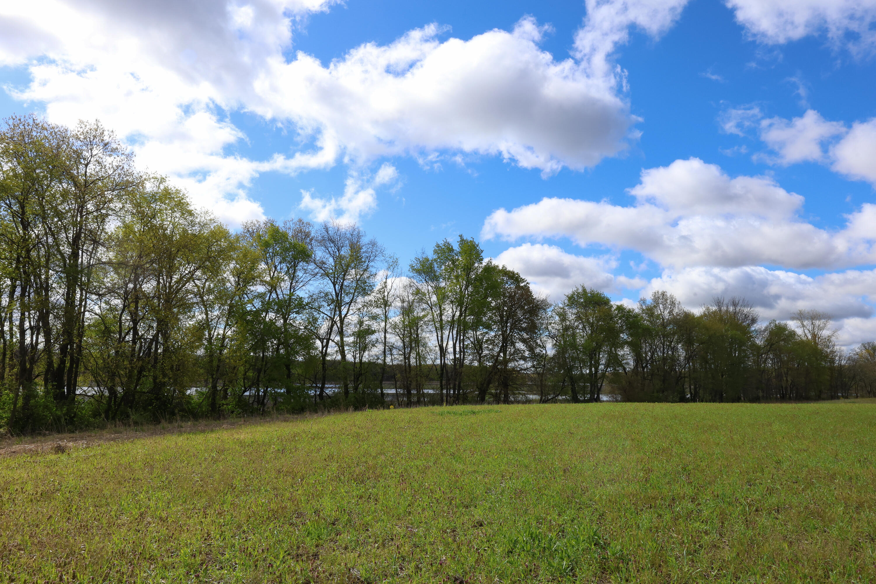 Hubbard Road Concord, MI 49237 - Photo 13 of 15 IMG_4906