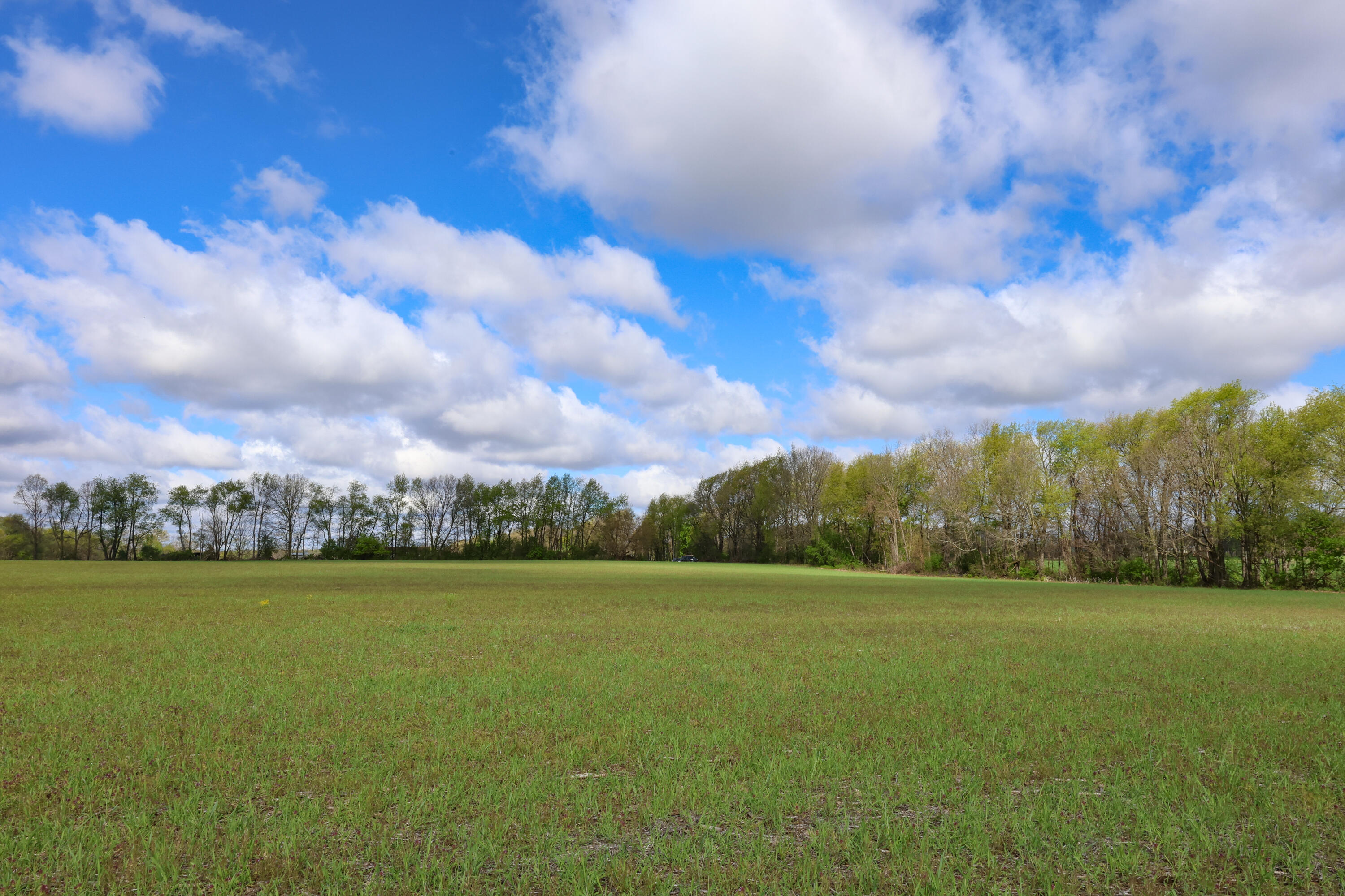 Hubbard Road Concord, MI 49237 - Photo 3 of 15 IMG_4908