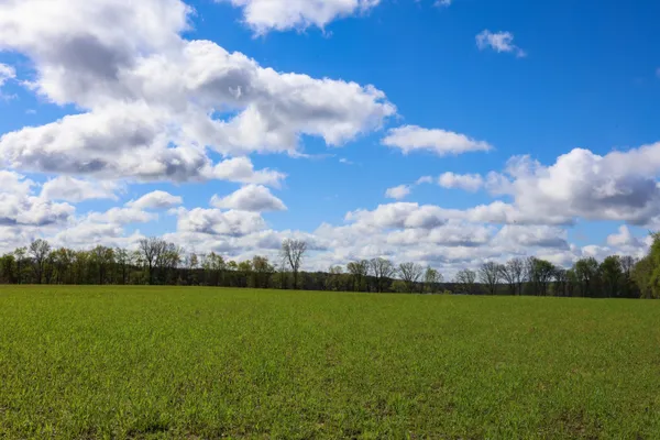 $310,000 | Hubbard Road, Concord, MI 49237