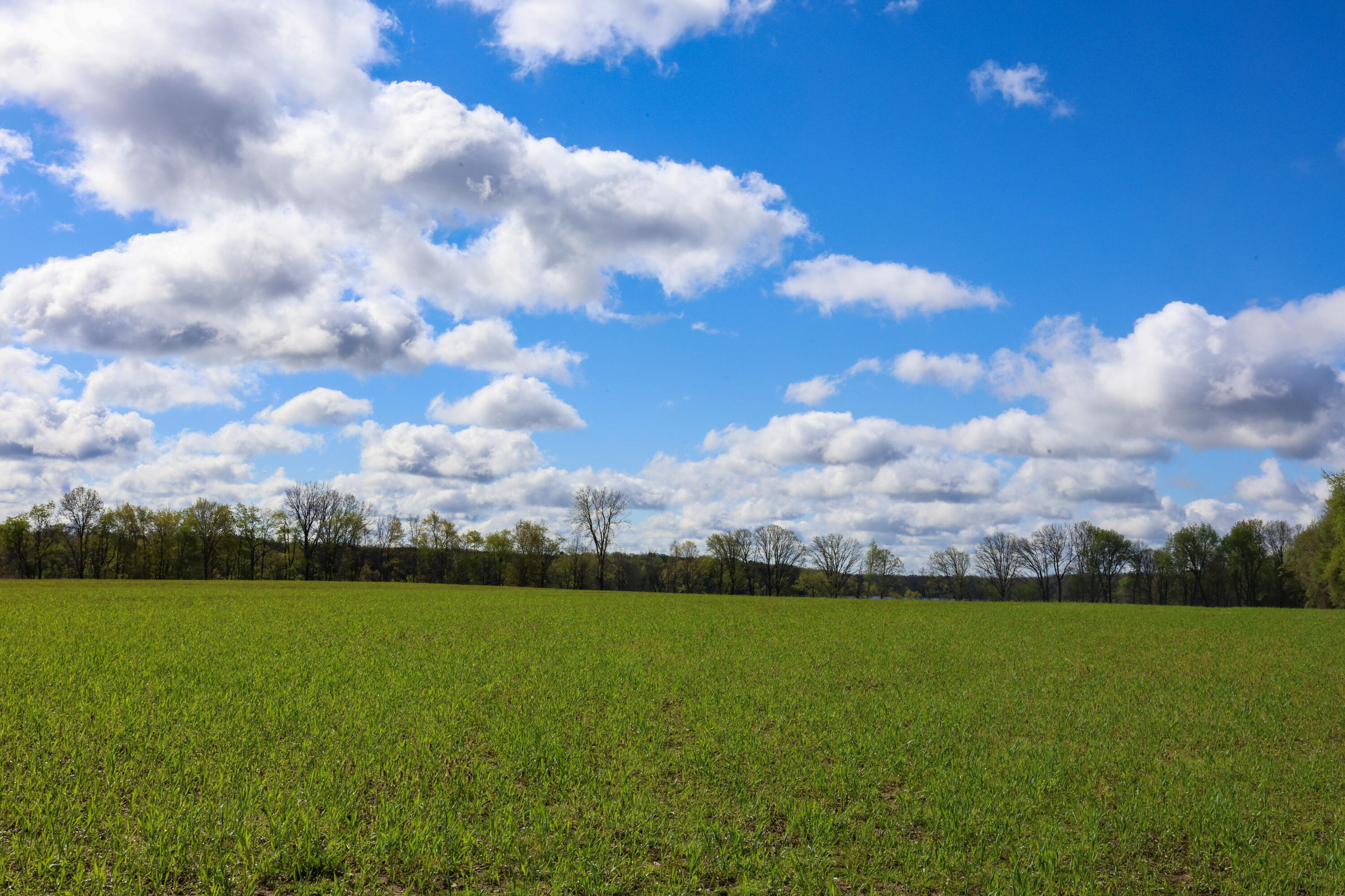 Hubbard Road Concord, MI 49237 - Photo 5 of 15 IMG_4889