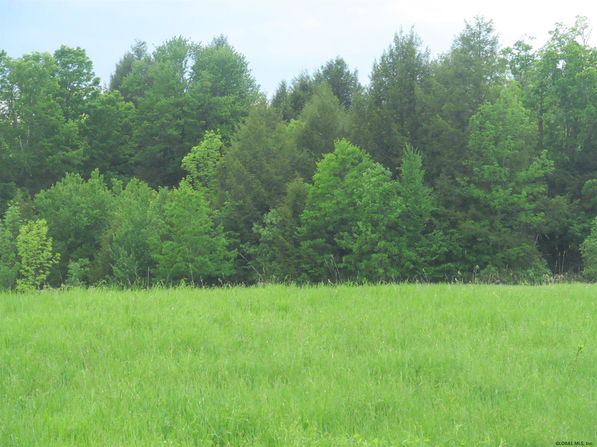 0 Sanders Road Perth, NY 12086 - Photo 1 of 5 Photo 1