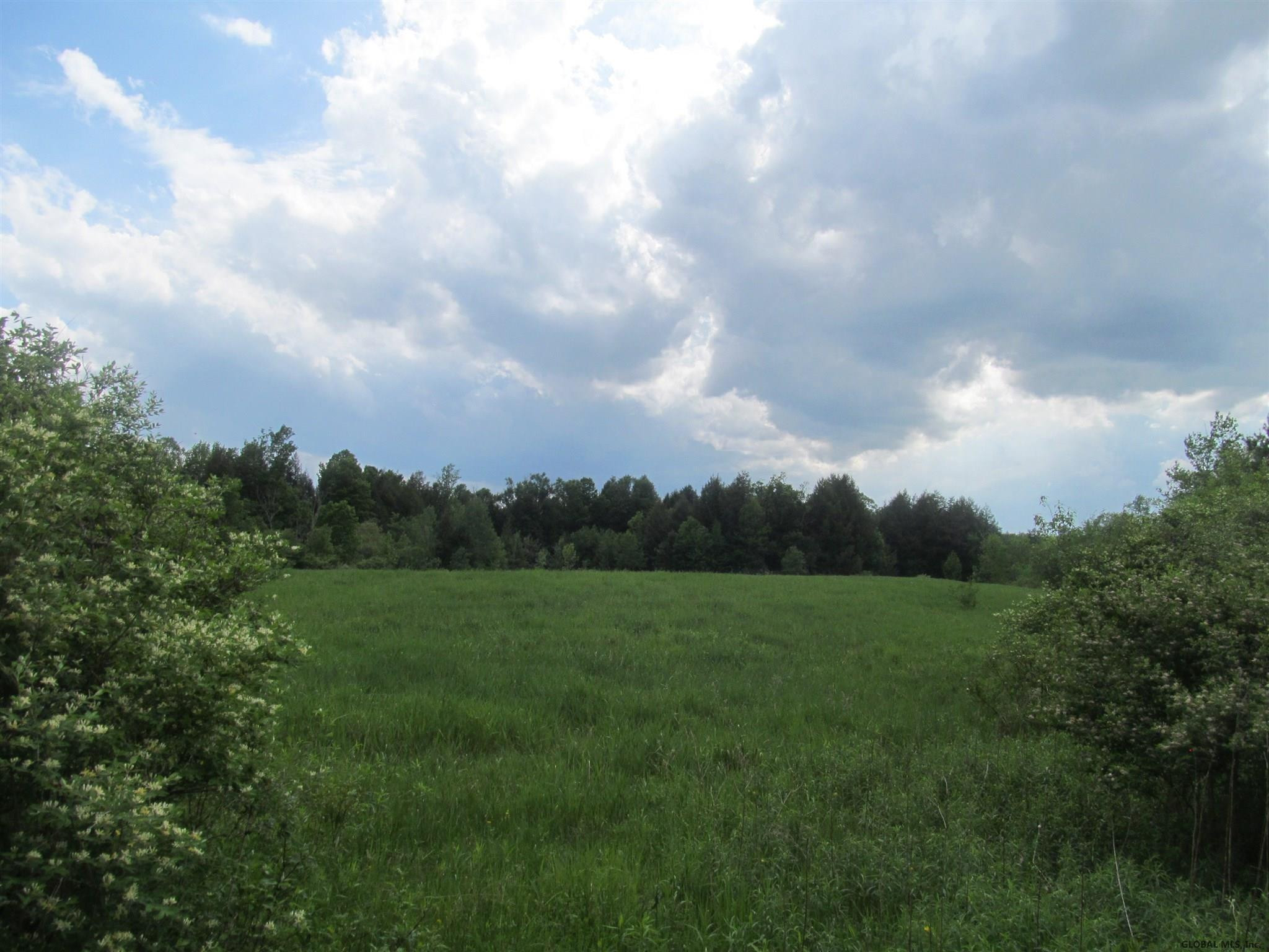 0 Sanders Road Perth, NY 12086 - Photo 4 of 5 Photo 4