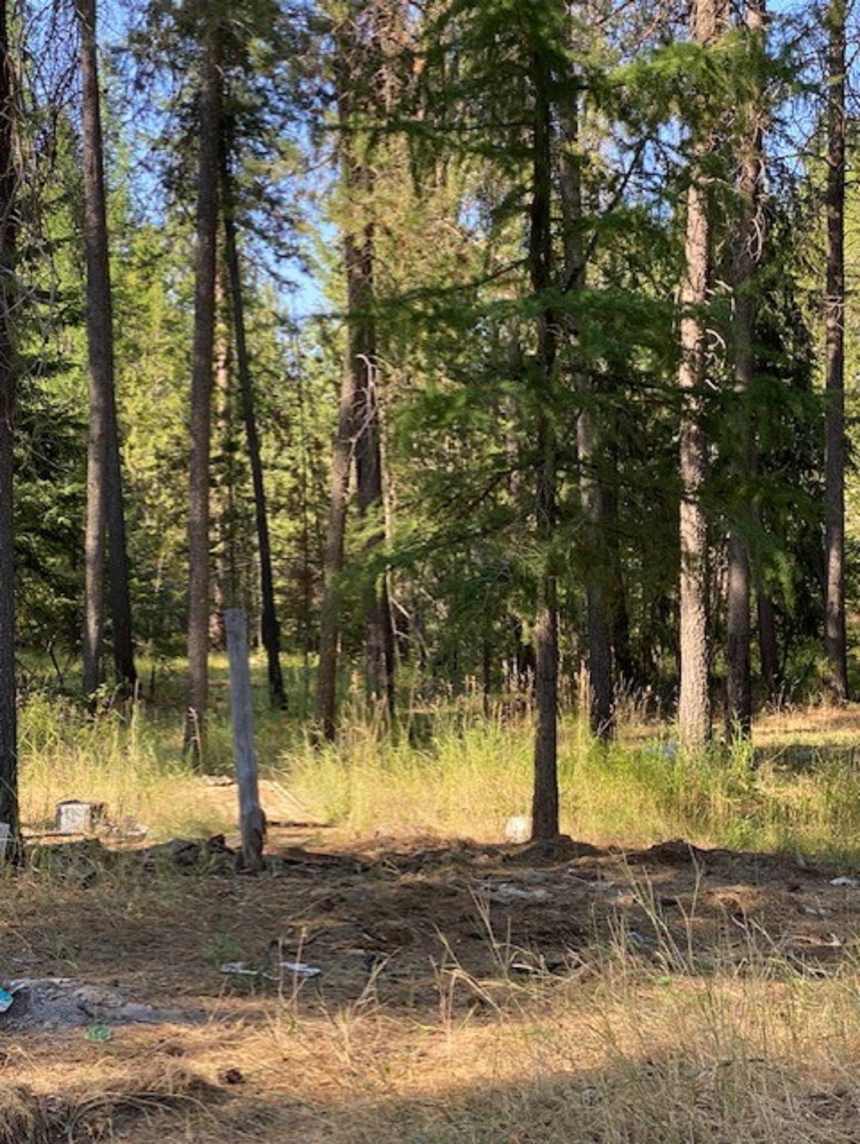 4430 A Springdale Hunters Road Springdale, WA 99173 - Photo 11 of 11