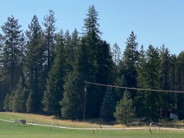 4430 A Springdale Hunters Road Springdale, WA 99173 - Photo 2 of 11