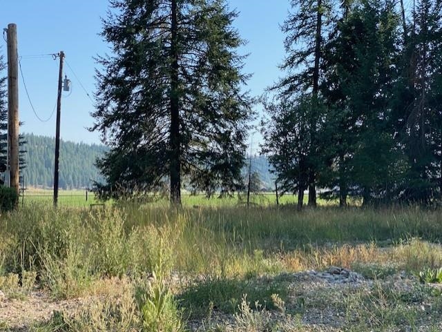 4430 A Springdale Hunters Road Springdale, WA 99173 - Photo 3 of 11